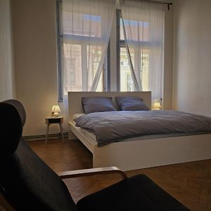 Appartement met een Slaapkamer